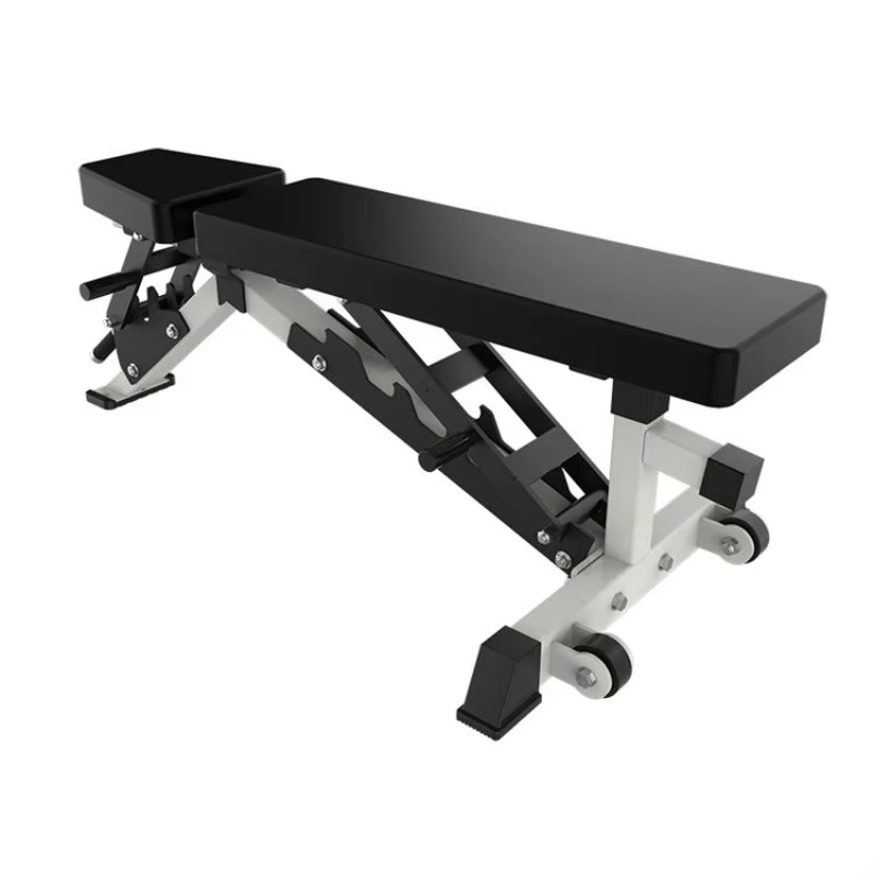 Multifunktionaler, professione – Adjustable Dumbbells Bewertung und Preis